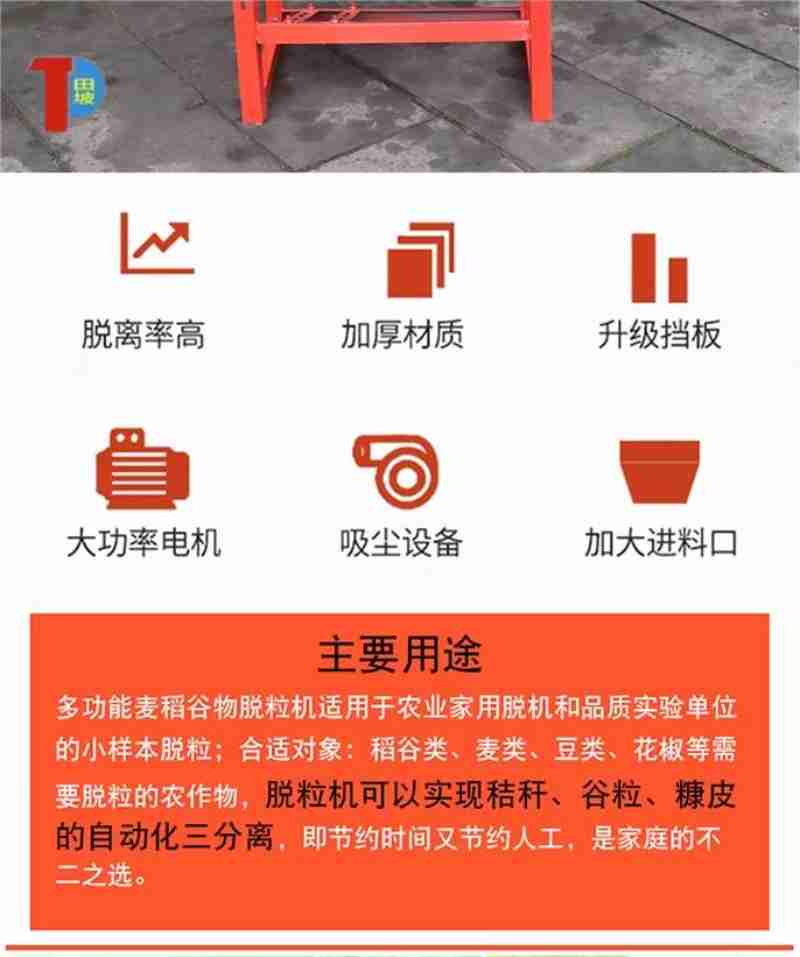 瑷珲历史陈列馆研学活动(图片由受访单位提供)